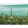 Excellent quality protection new pe against bird net
